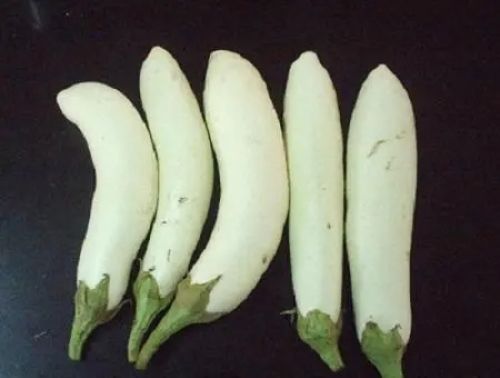 白茄子的功效与作用 养生食品 中药健康网